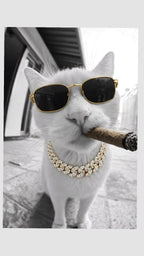 White Cat Wearing Sunglasses With Cigar Canvas Wall Art